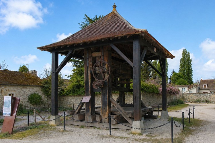 Machault