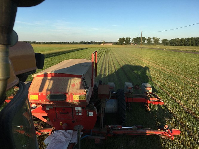 2025 - CREO - Ferme du Thieu - Maestro st - ©Sébastien Galloy