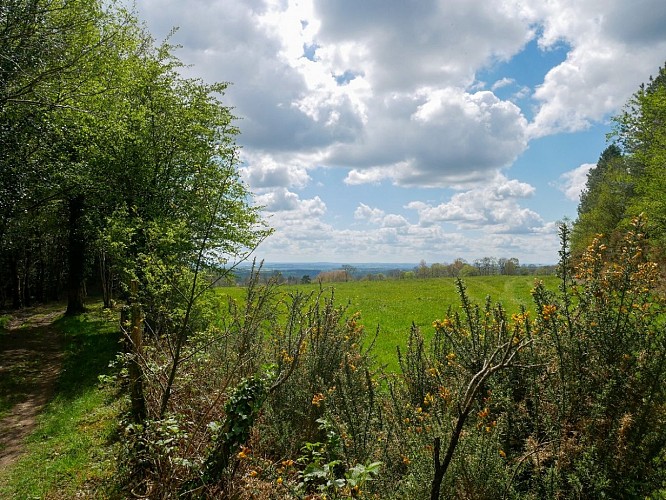 2021_OTPV_AL_Mont-Pincon-38