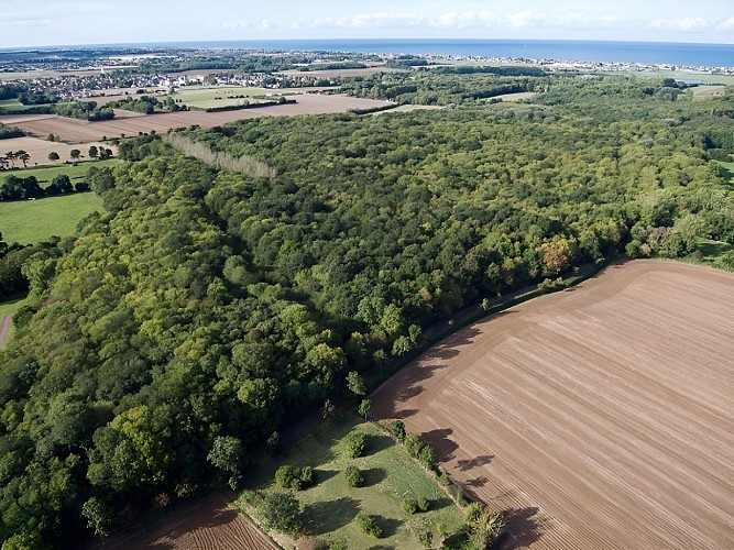 [FERME AU PUBLIC] Le bois du Caprice