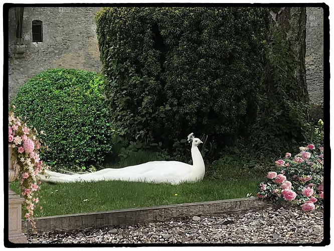 Aux 3 Gourmands du Château - Crêperie à Saint-Germain-de-Livet