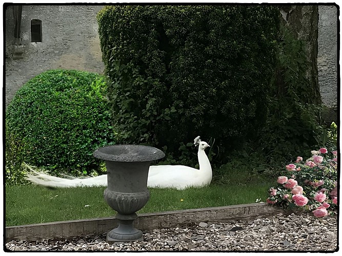 Aux-3-gourmands-du-Chateau---Creperie-a-Saint-Germain-de-Livet--proche-de-Lisieux--6-