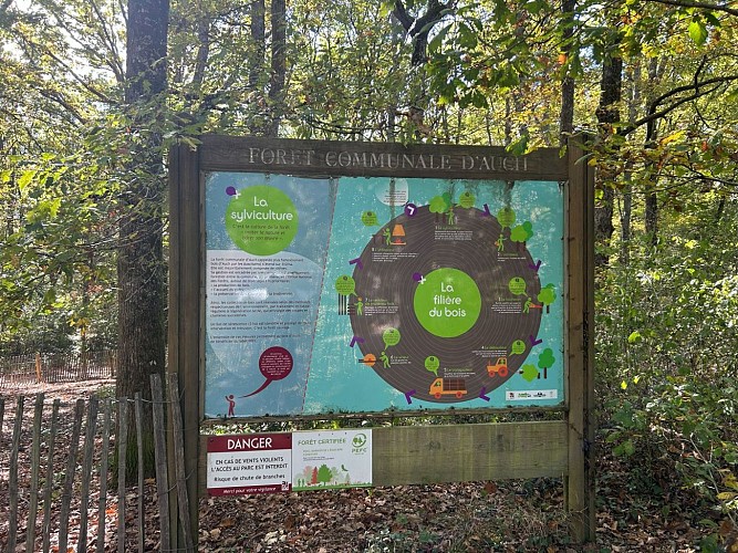 Bois d'Auch