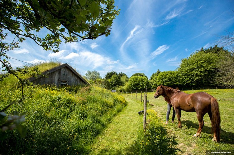 La Belle verte Les ecolodges à Saint-M'Hervé