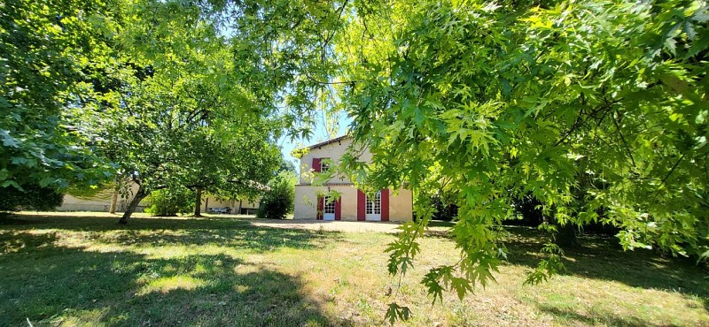 HLOAQU047V50MUTD_SAINTCOLOMBLAUZUN_CedreEternel_1