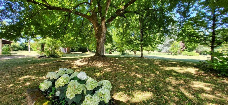 HLOAQU047V50MUTD_SAINTCOLOMBLAUZUN_CedreEternel_3