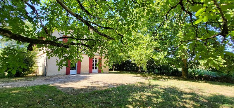 HLOAQU047V50MUTD_SAINTCOLOMBLAUZUN_CedreEternel_9