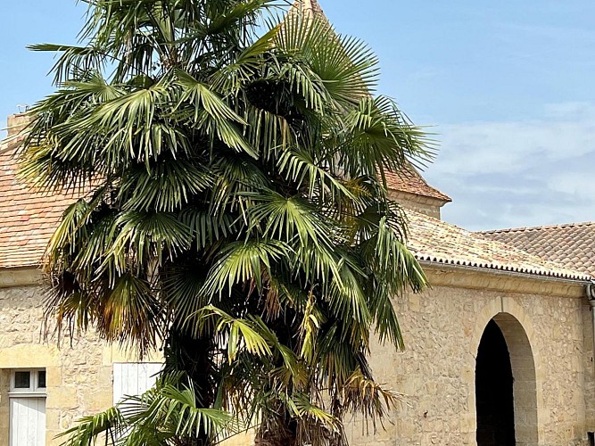 HLOAQU047V50MUTQ_GontaudNogaret_Faudon_photo6