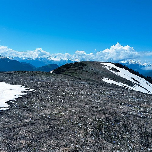 plateau des Pugnes