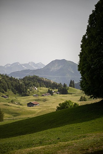 Plateau von Plaine Joux