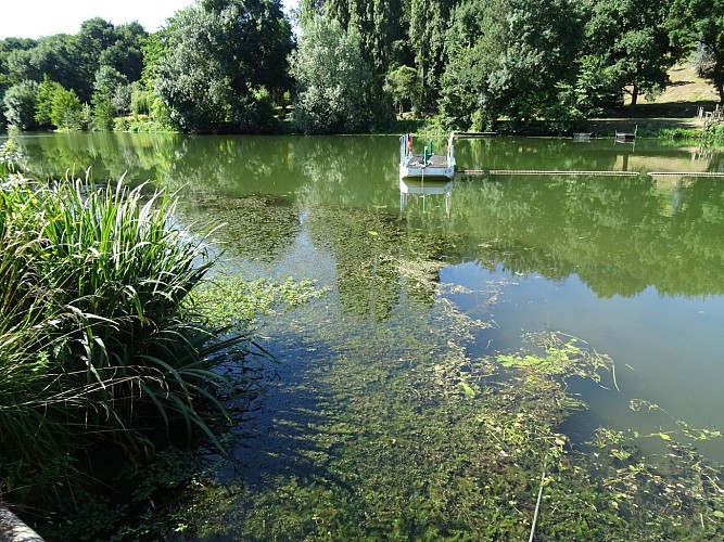 Etape 4 : Le bord du Loir : le milieu aquatique