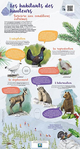 STATION1_1.2_1300x700_survivre