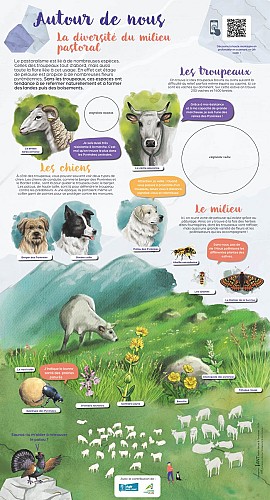 STATION3_3.2_Estives