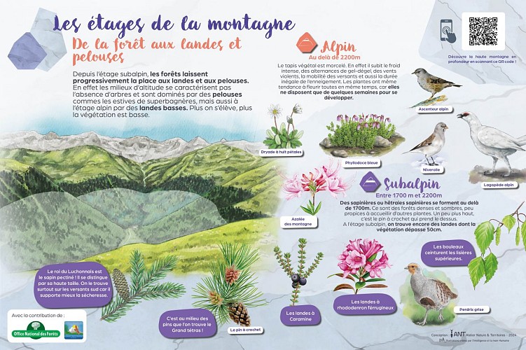 STATION5_5.2_Etages2