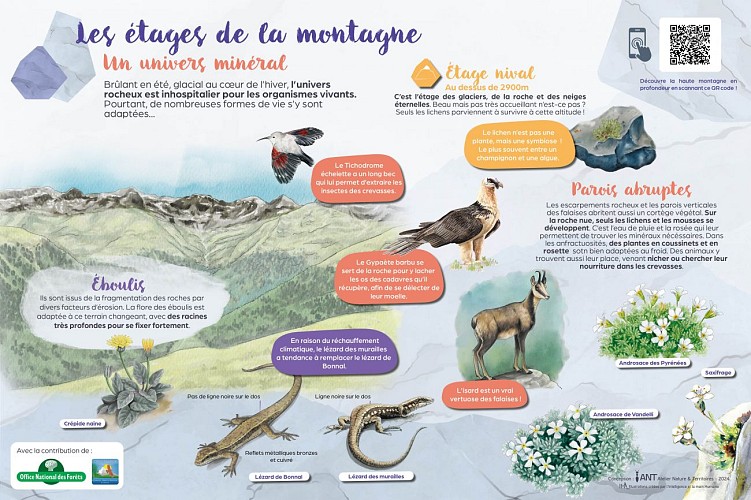 STATION5_5.3_Etages3