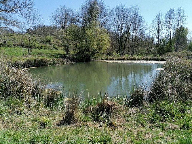 Zone Humide du Lavoir du Gau