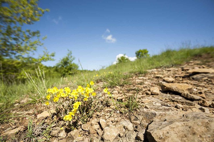 Val d'Amby Sensitive Natural Area