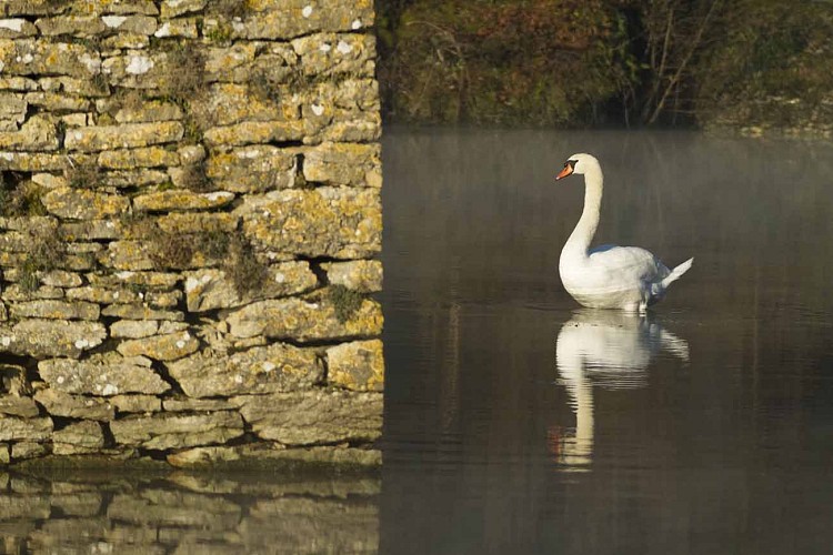 Espace Naturel Sensible du Val d'Amby