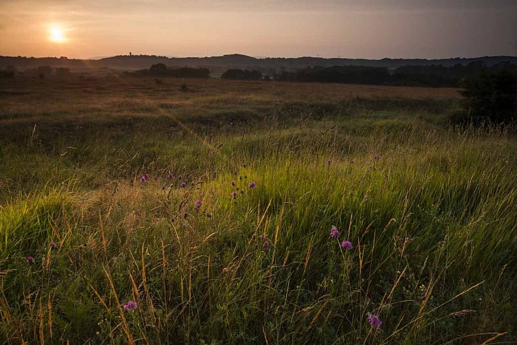 Espace Naturel Sensible du Val d'Amby