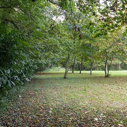 Trame verte et bleue, un maillage écologique reliant milieux naturels et corridors de biodiversité