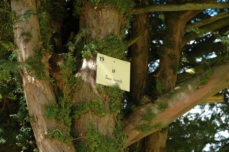 Promenade à pied au fil des arbres du Clos Claret