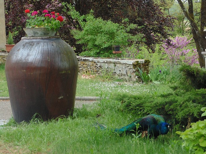 Le Clos Dauphin : le gîte