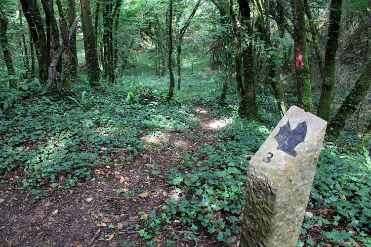 Espace Naturel Sensible "Les Coteaux de St Roch"