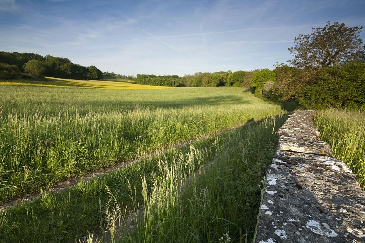 Espace Naturel Sensible "Les Coteaux de St Roch"