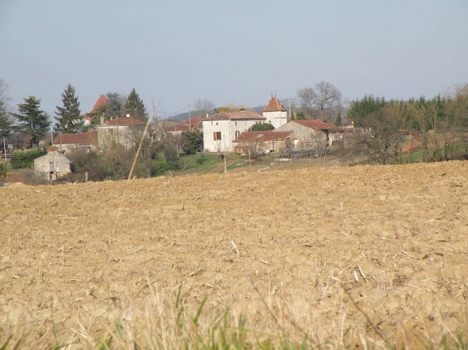 Ensemble agricole avec pigeonniers à Madaillan