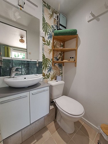 20250714_121710.heic - 1