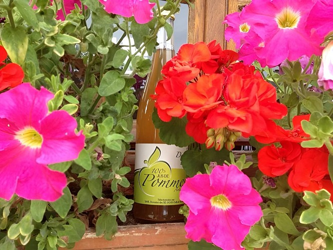 Cidrerie Daufresne - Ouilly le Vicomte (3)