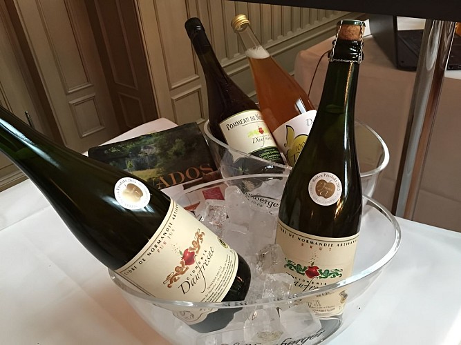 Cidrerie Daufresne - Ouilly le Vicomte (7)