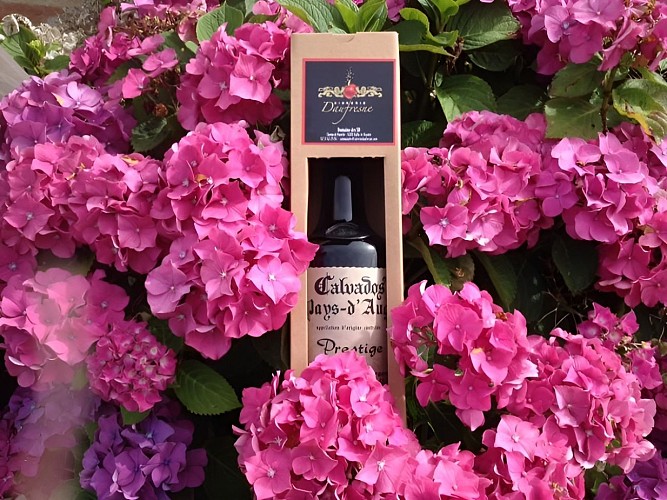 Cidrerie Daufresne - Ouilly le Vicomte (4)