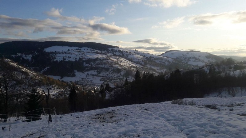 CHAMBRES D'HÔTES NATURE ET DÉTENTE LA BRESSE