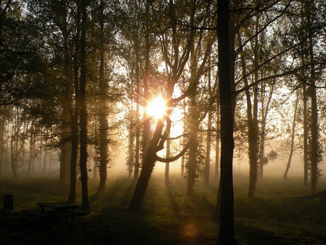 Sentier de la Grande Prairie à Pierrefitte-sur-Sauldre