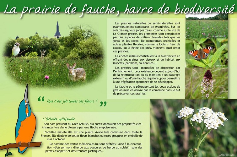 Sentier de la Grande Prairie à Pierrefitte-sur-Sauldre