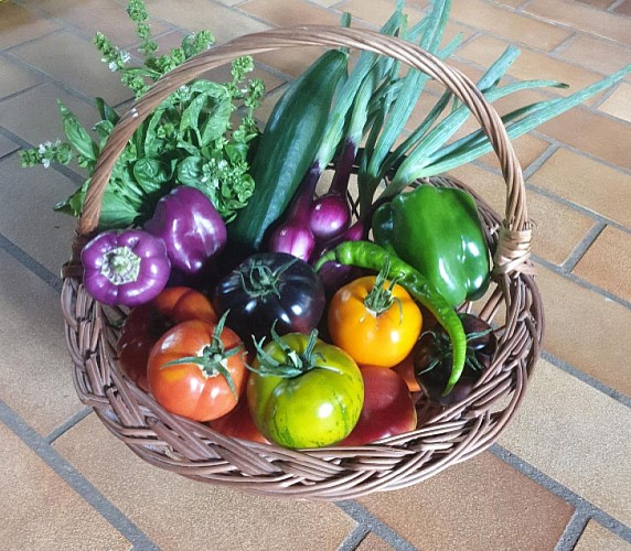 ferme de rodas-panier