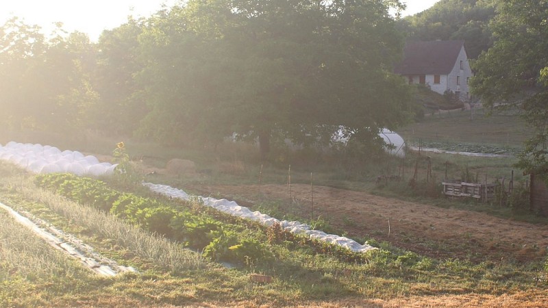 ferme de rodas-jardin