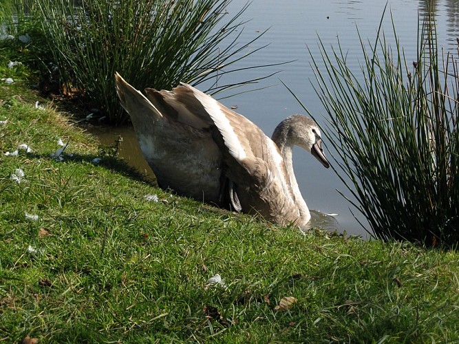 Aire de service square de la commune libre du Bouffay - Saint-Mars-la-Jaille