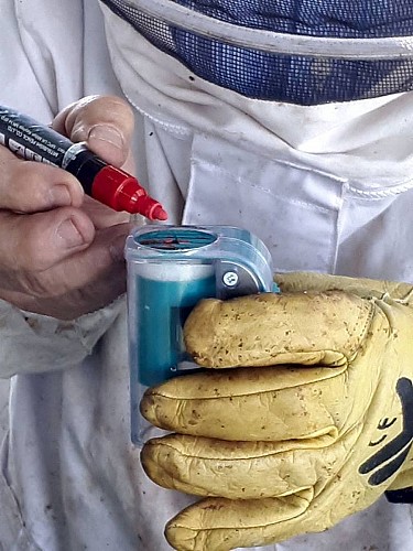 Maison du miel et des abeilles du Val Dunois