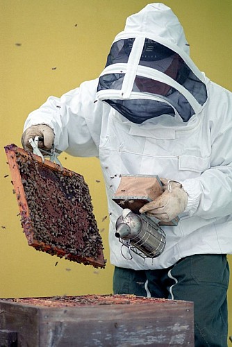 Maison du miel et des abeilles du Val Dunois