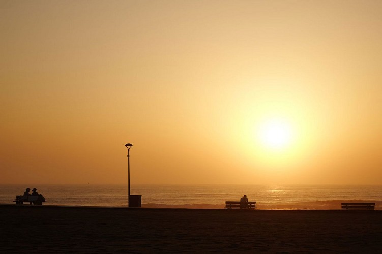 Part-des-Anges-brume-contemplation-web
