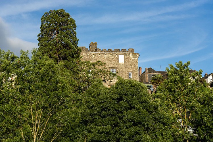 GITE CHÂTEAU DE MONTREVAULT