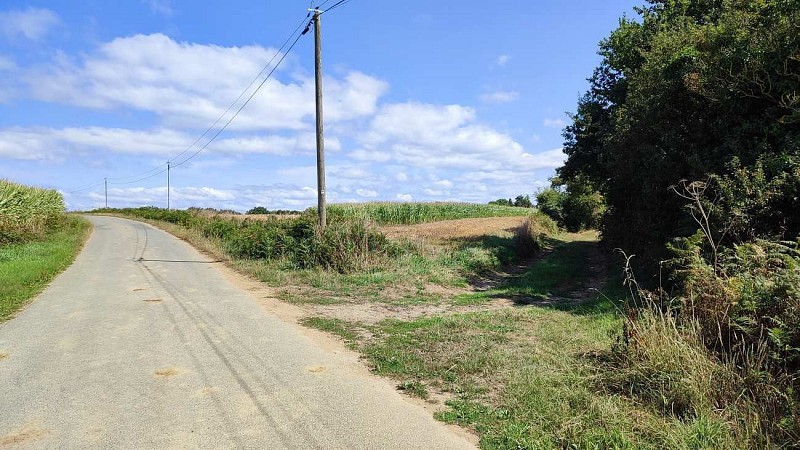 Le chemin au pied du poteau