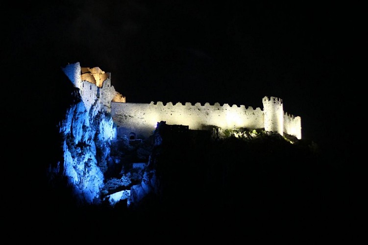 Château de Puilaurens