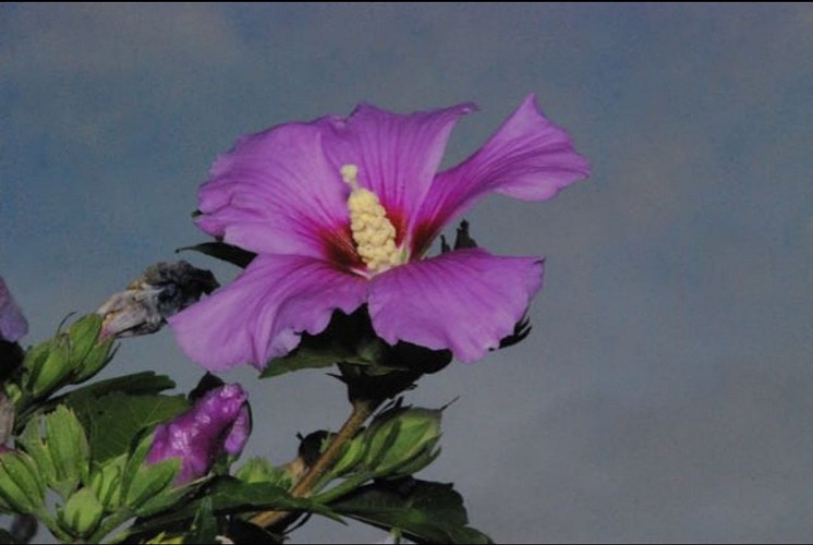 camping chez Gaëlle