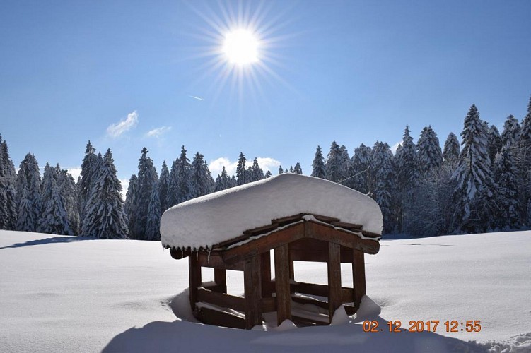 Group accommodation - Domaine de Nayemont