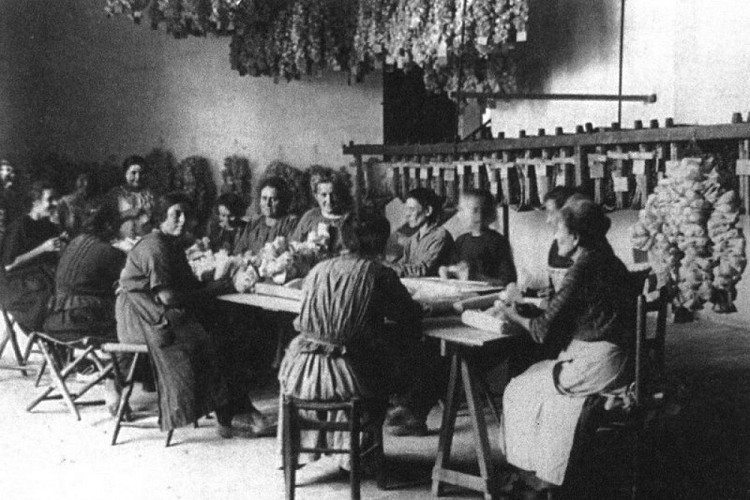 Confection de cellules