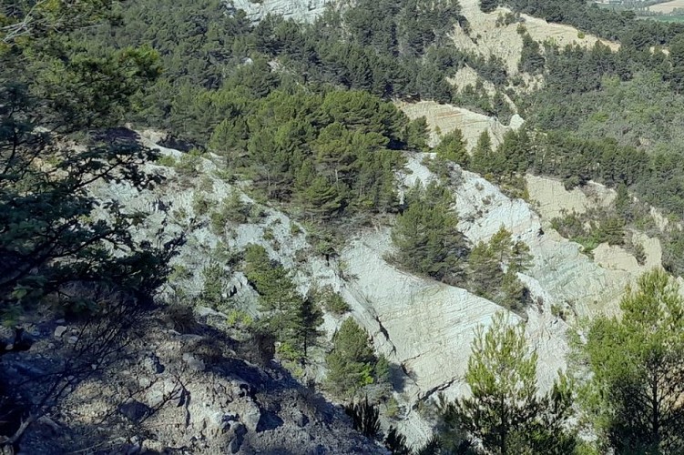 Grés verts non altérés du Colorado de Rustrel