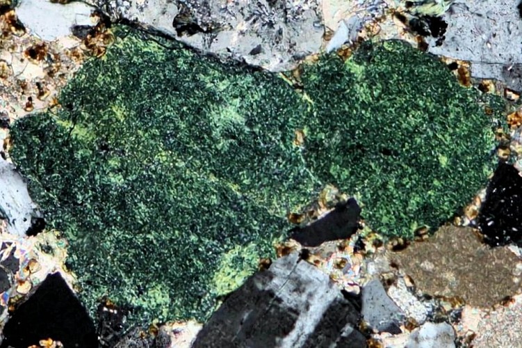 Grains verts de glauconite